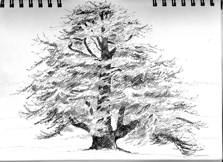 Curragh Chase, Ireland sketch