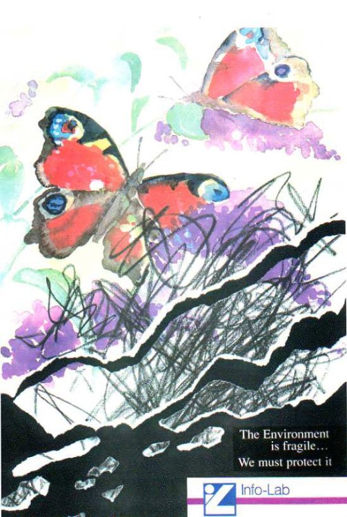 Environmental Poster Illustration