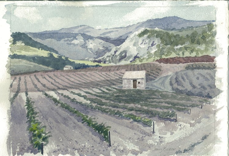 Villerambert Vineyards Landscape